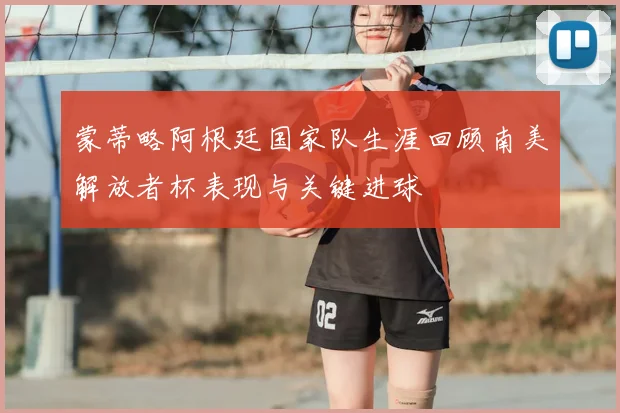 蒙蒂略阿根廷国家队生涯回顾南美解放者杯表现与关键进球