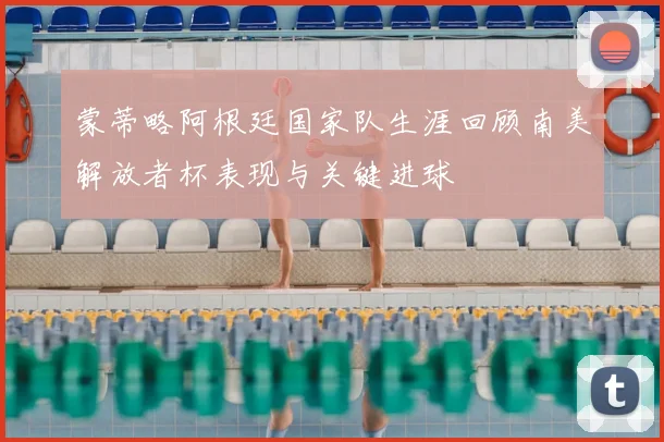 蒙蒂略阿根廷国家队生涯回顾南美解放者杯表现与关键进球