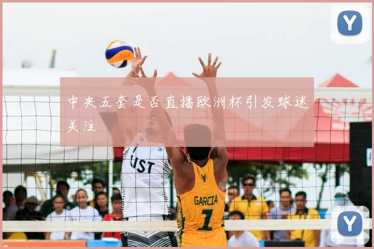 中央五套是否直播欧洲杯引发球迷关注