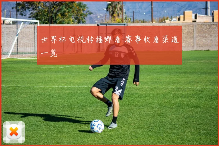 世界杯电视转播哪看 赛事收看渠道一览